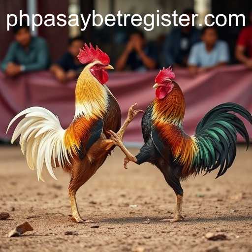 The Rise of Online Sabong: A New Era in Cockfighting